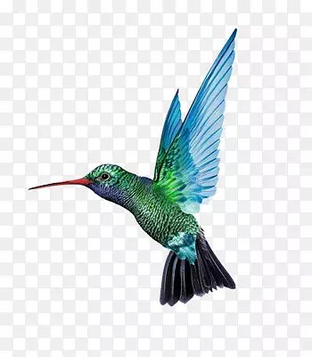 �����С��-������