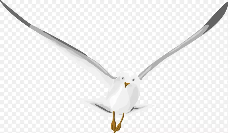 ���еĸ���-������