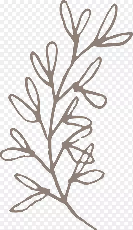 Ư����֦-������