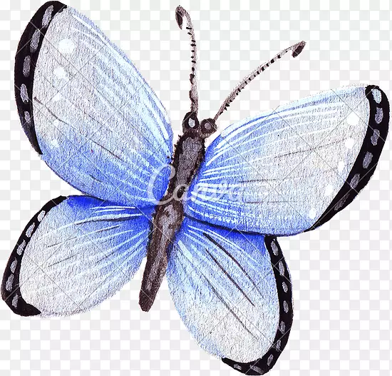 ����������-ˮ�ʺ���-������