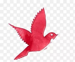 ��ɫ����-������