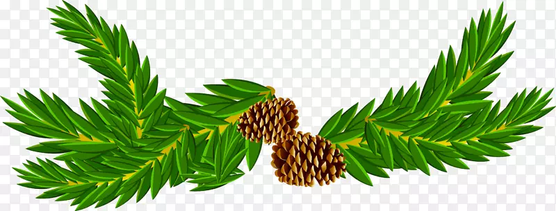 ��ɫ֦���ɹ�-������