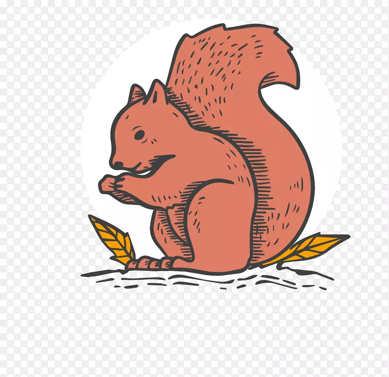 ��ͨ�ɰ�С����װ�ζ���ͷ��-������