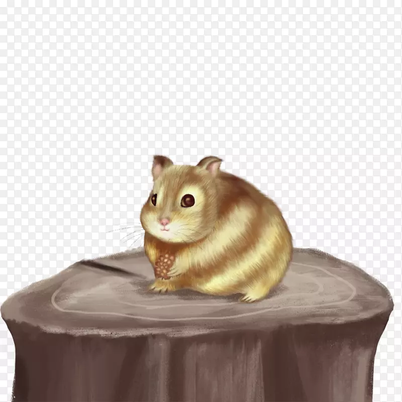 ��ͨ�ɰ�С����װ�ζ���ͷ��-������