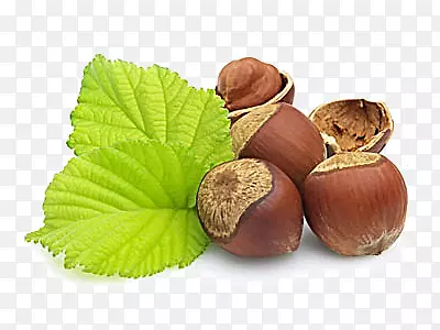 ʳƷװ��-������