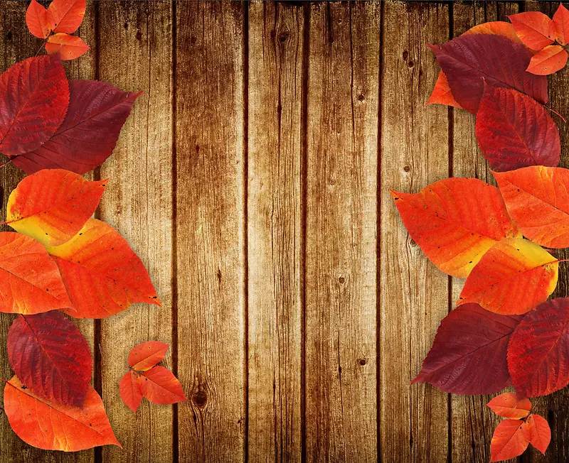 ľ�屳��-������