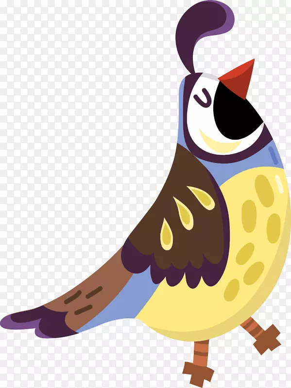 ��ͨ�ɰ�С������ֽ-������