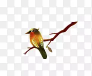 վ��֦ͷ����-������