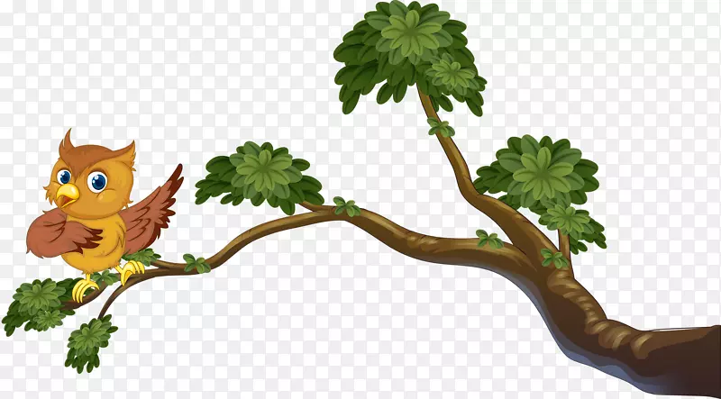 ��ͨ����-������