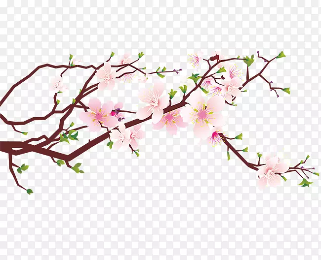 �����һ���֦-������