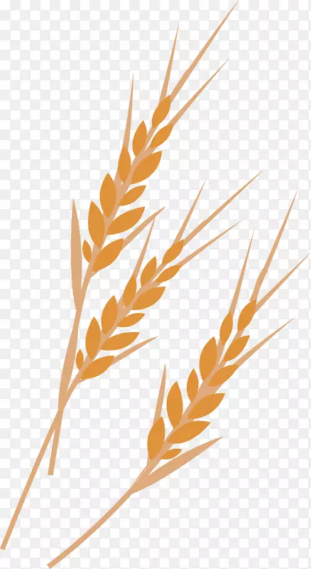 ����pngʸ��Ԫ��-������