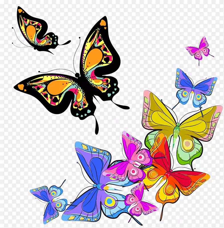 Ư���Ĳ�ɫ����-������