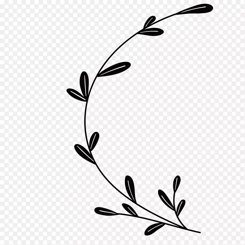 ϸ������Ҷ��֦����-������