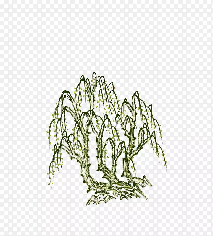 ��ɫ����-������