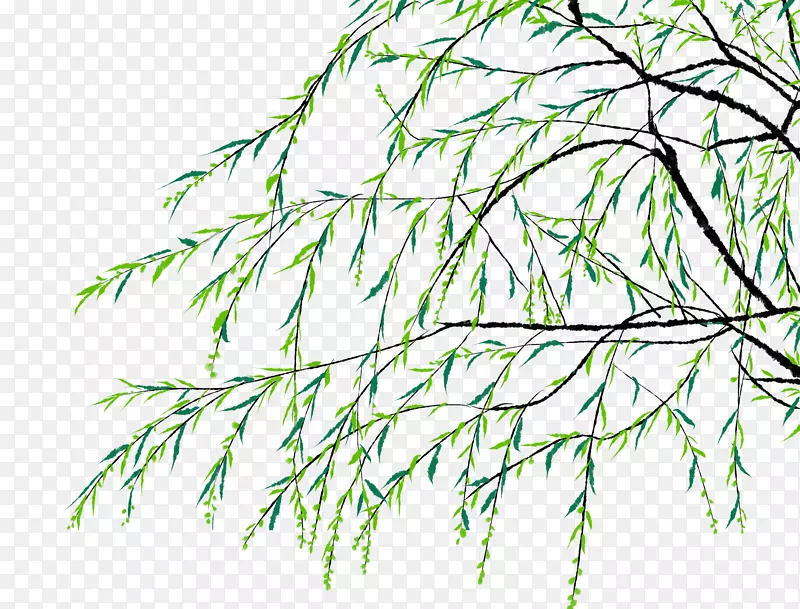 �����ֻ���֦֦Ҷ�廭-������