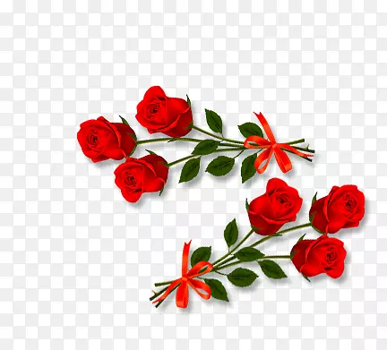 ��ɫõ�廨-������