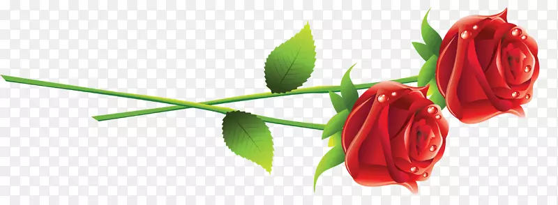 ���˽�õ�廨-������