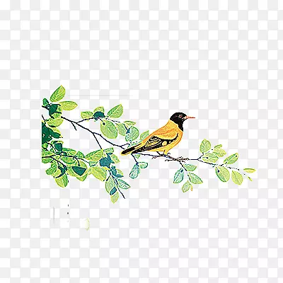 ������֦��ȸ-������