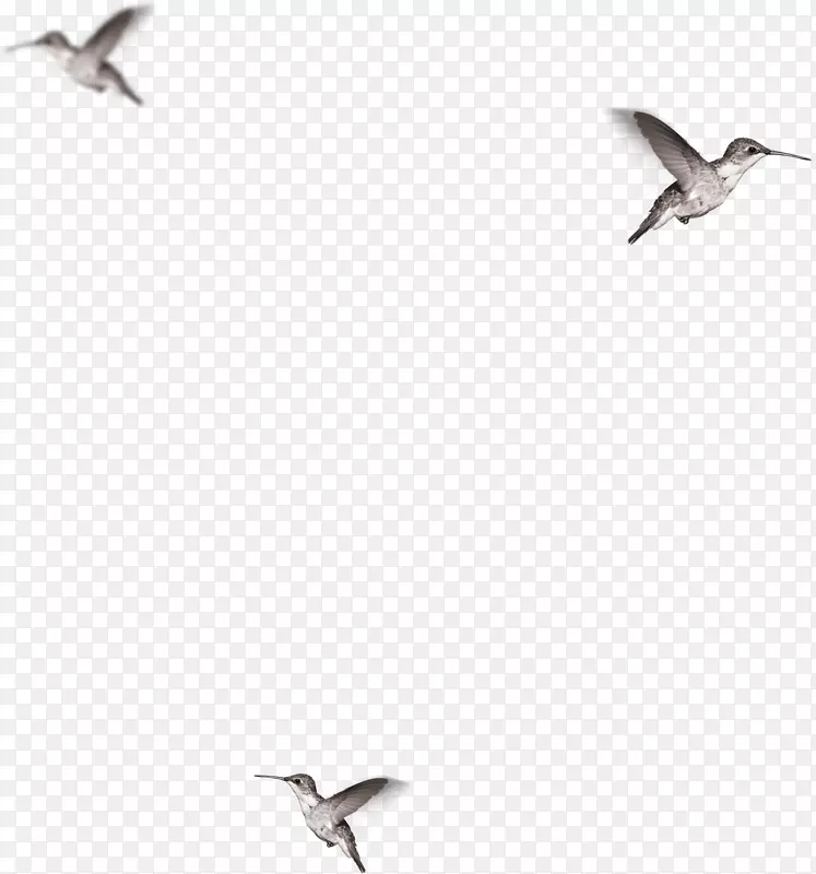 С���Ա��زģ�Ư���زģ���-������