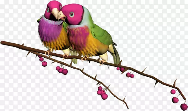 ��֦�ϵ������زļ�԰-������