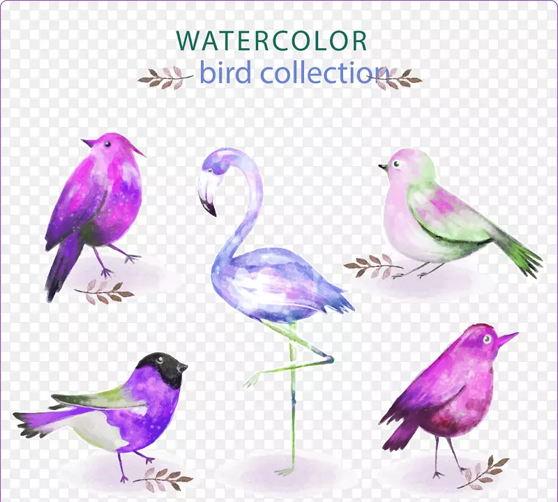 ˮ�����ʸ���ز�-������