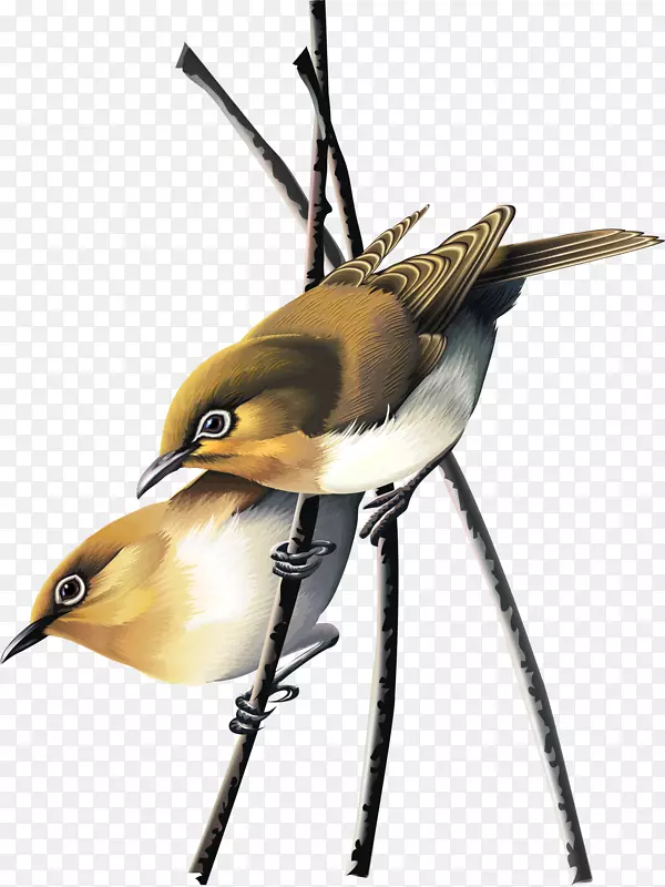 ��֦�ϵ�дʵС��-������