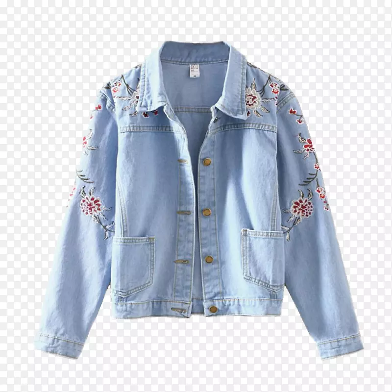 ǳɫinsţ������-������