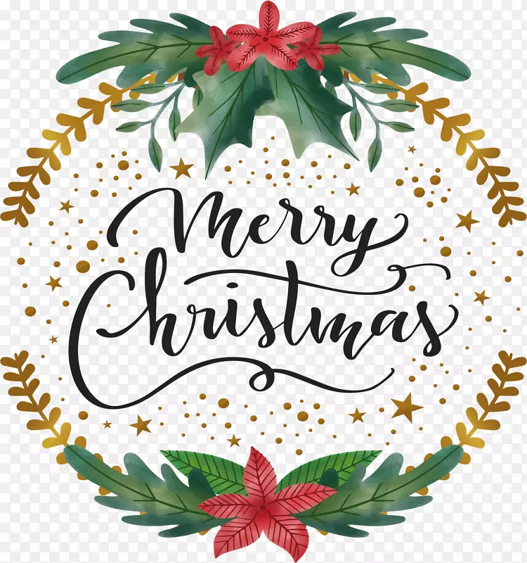 ��Ҷ����ʥ������-������