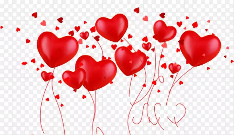 ��Ϧ���˽ں�ɫ��������-������