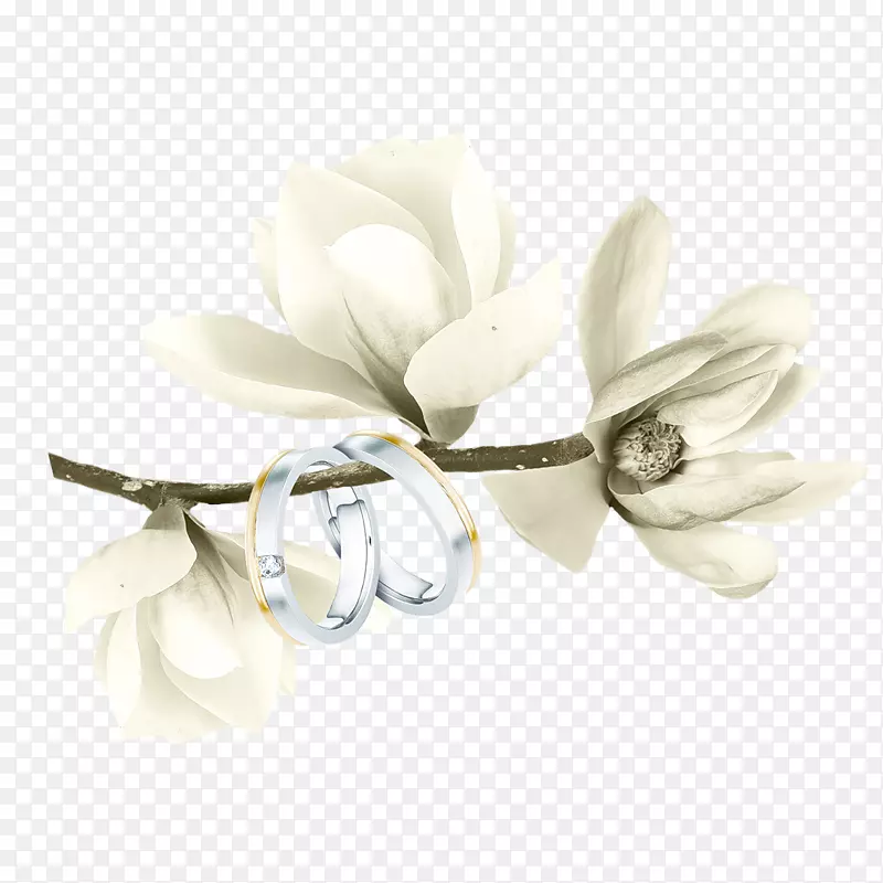 �����ز�-������