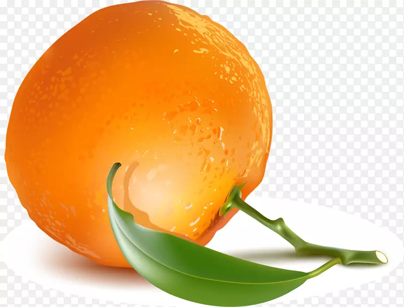 ��ɫ��ͨˮ��-������