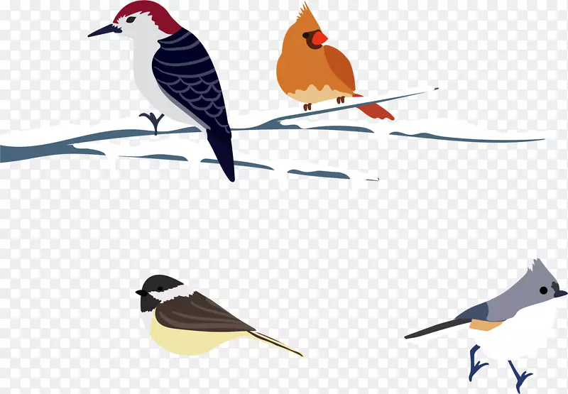 ��ѩ����֦��С��-������