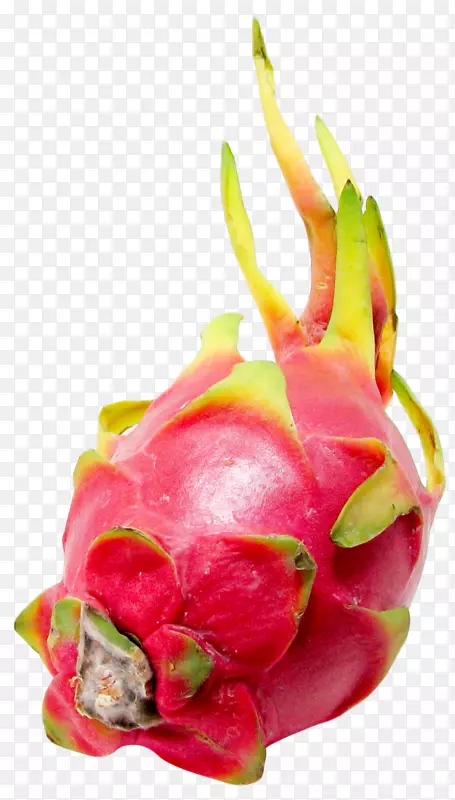 ��֭������-������-������