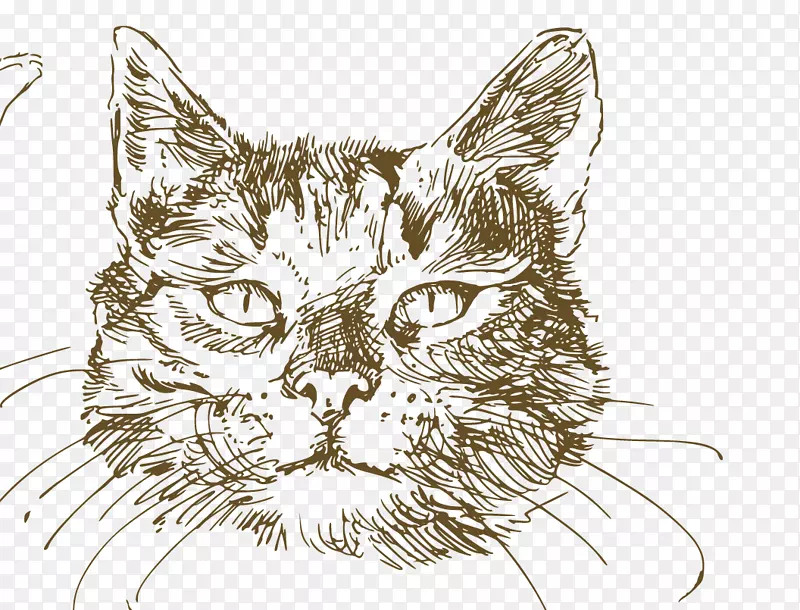 ��ͨ�ɰ�С����װ����ƶ���ͷ��-������