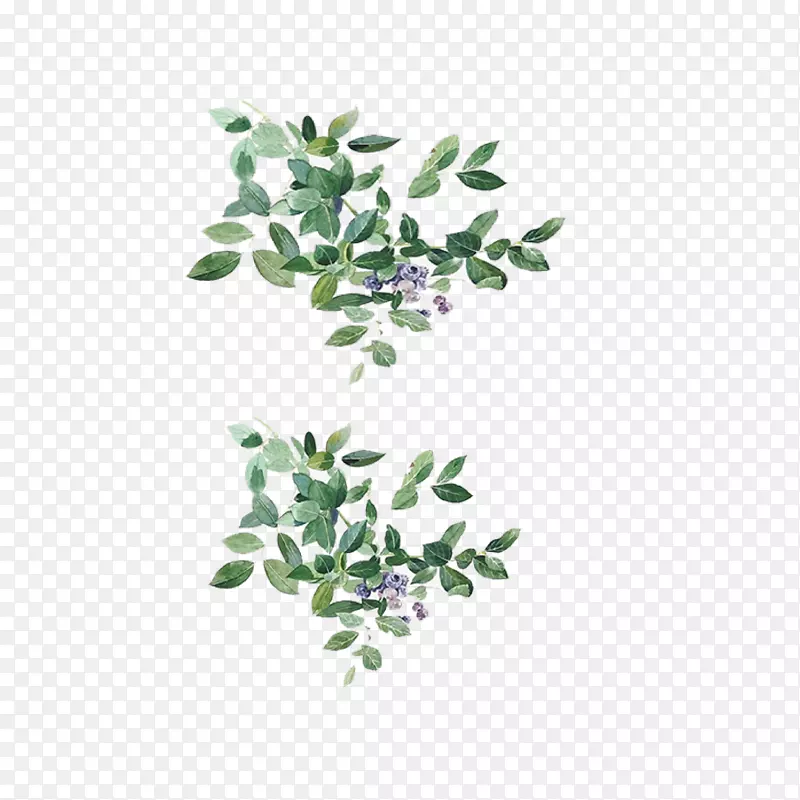 ��ɫ���Ҷ��-������