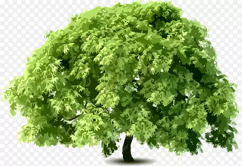 ˮ�ʴ���-������