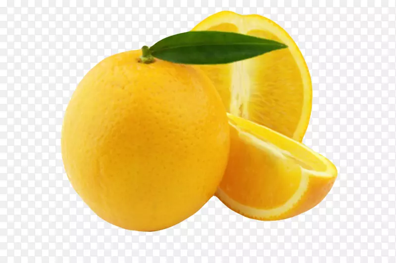 ��ɫ����ˮ����Ҷ������ķ����-������