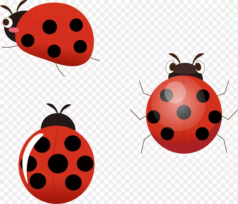 ��ͨ�ɰ�С����װ�ζ���ͷ��-������