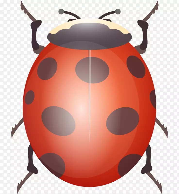 �������ʸ���ز�-������