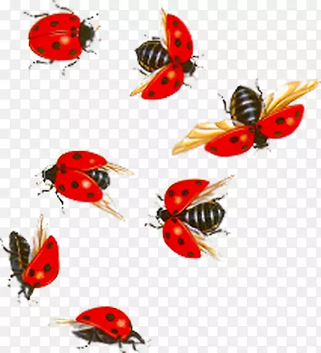 ư��-������