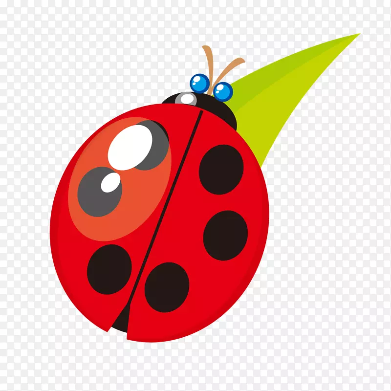 ��ͨ����ư���������-������