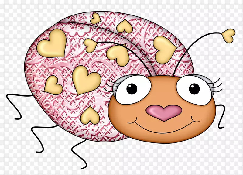 ����С����-������