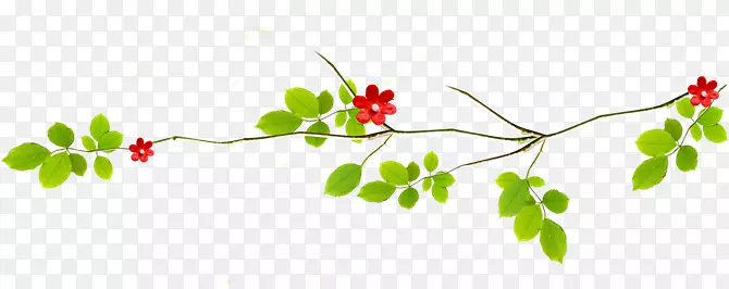 ��ͨ��ɫ������֦-������