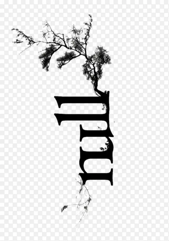 �������-��������������֦-������