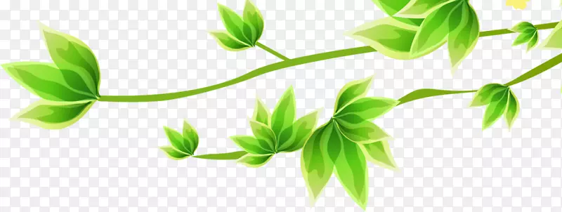 ��ɫҶ����ɫ��֦����װ��-������