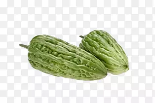 ��ͨ�߲�-������