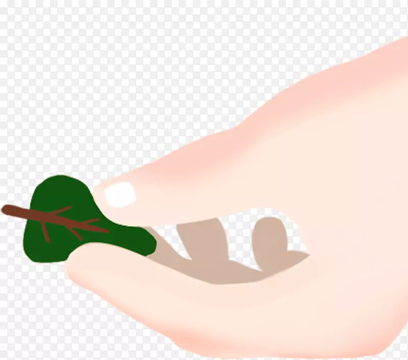 ������Ҷֲ����-������