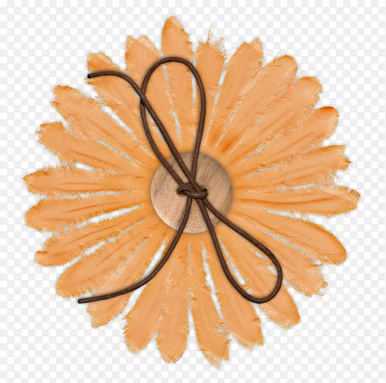 ���ܼ�����-��ɫ��-������