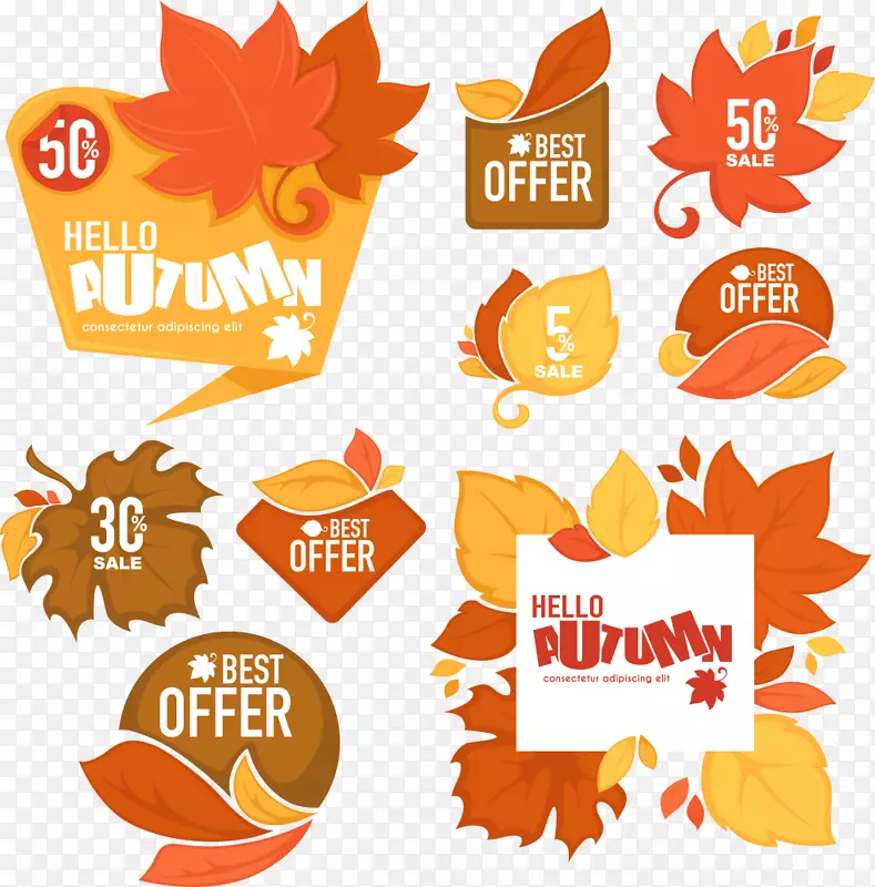 ʸ����ɫ��Ҷ��Ӣ��-������