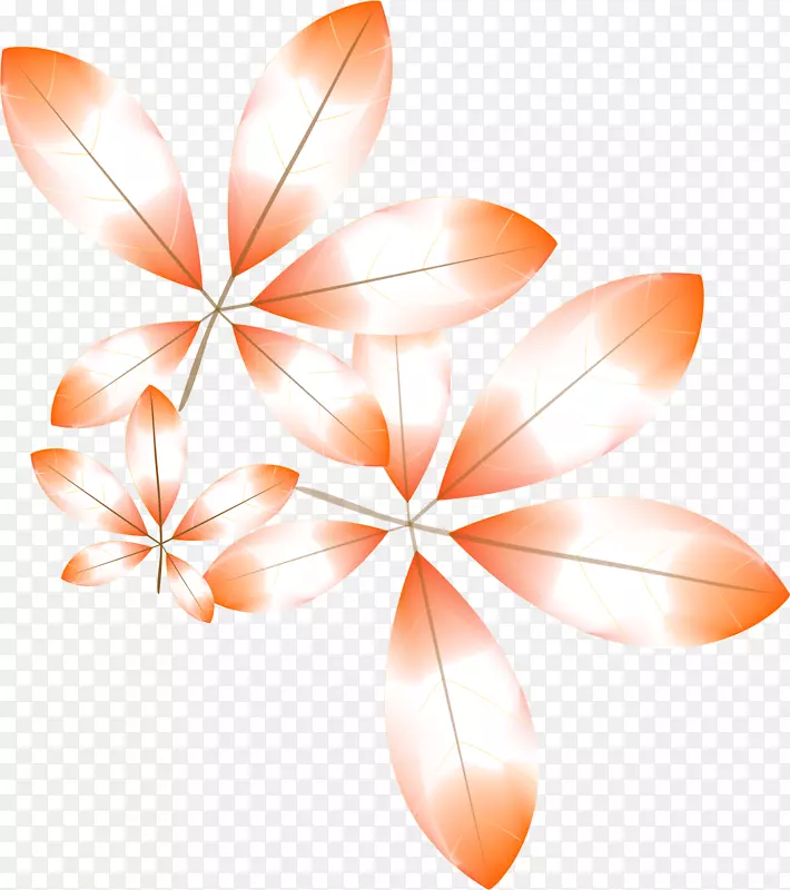 ��ɫ��Ҷ-������